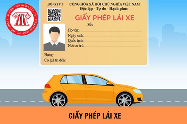 xuat-trinh-gplx